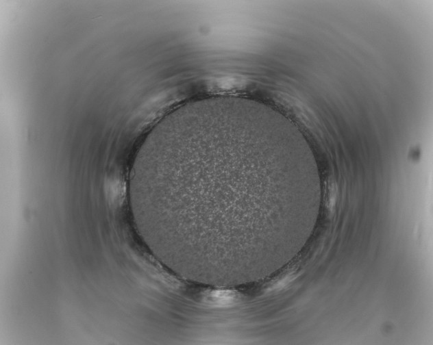 X0000094190324200711021034