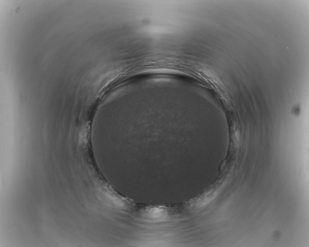 X0000094190325200711021034