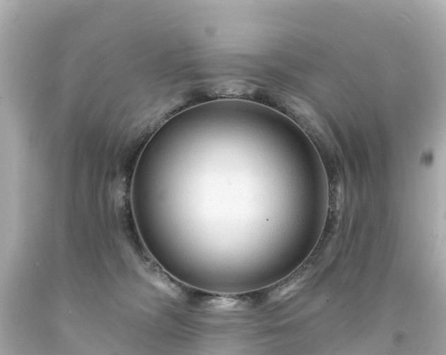 X0000094190326200711021034