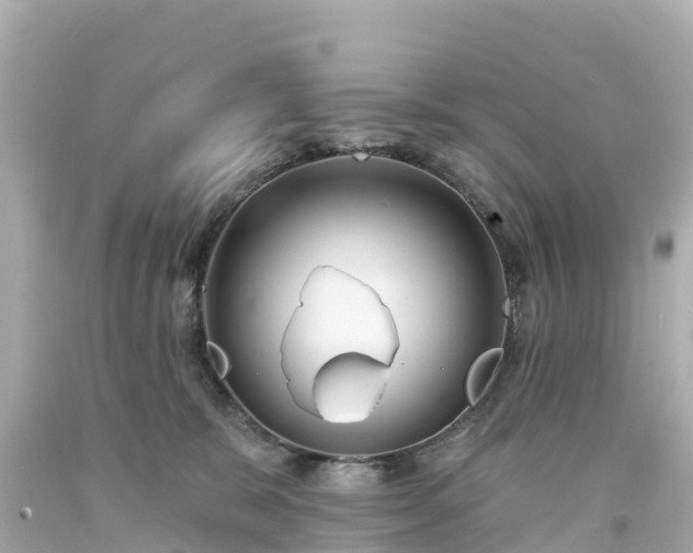 X0000094190327200711021034