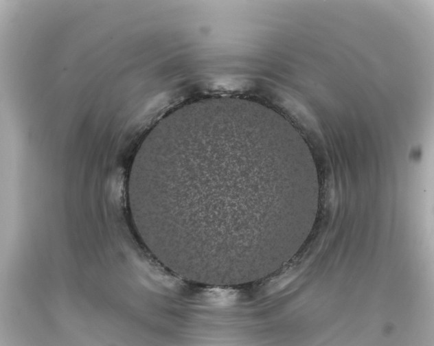 X0000094190328200711021034