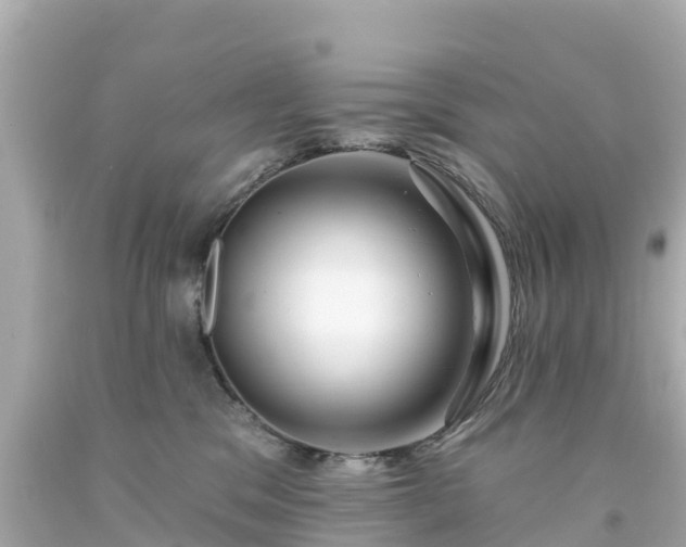 X0000094190329200711021034