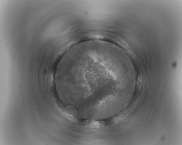 X0000094190330200711021034