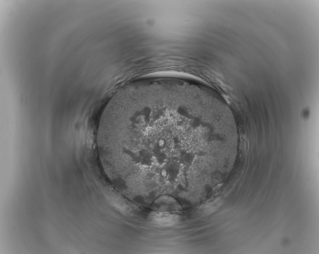 X0000094190331200711021034