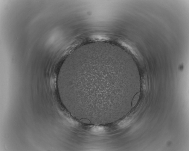 X0000094190332200711021034