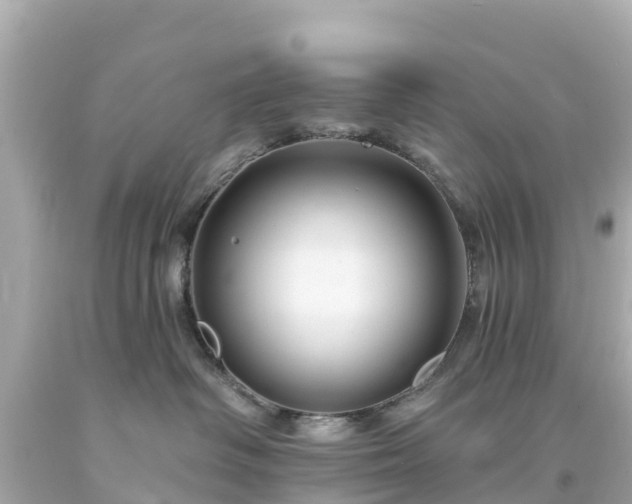 X0000094190334200711021034