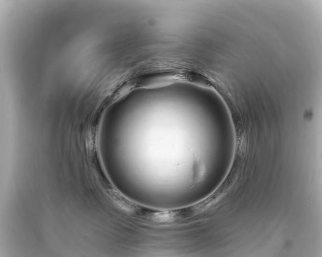 X0000094190335200711021034