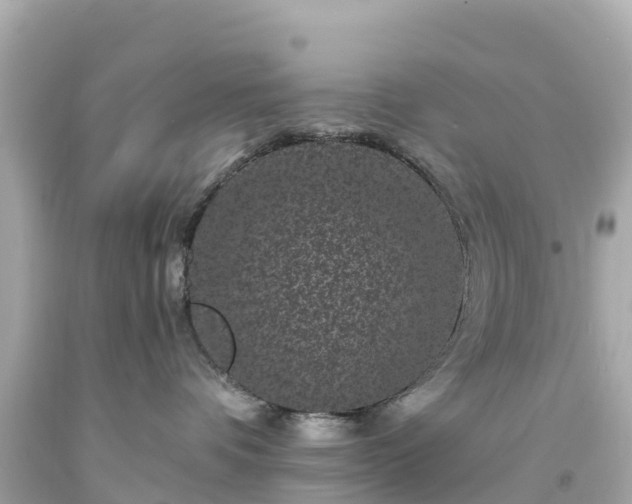 X0000094190336200711021034