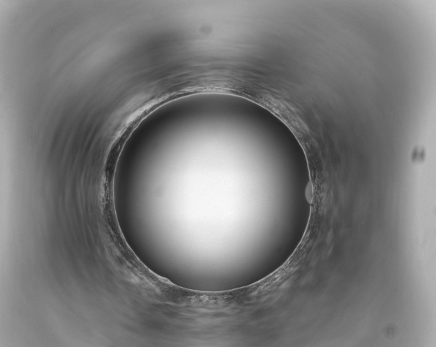 X0000094190338200711021033