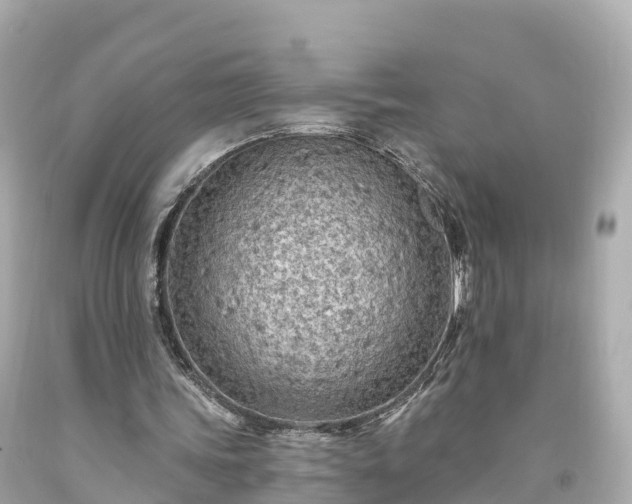 X0000094190339200711021033