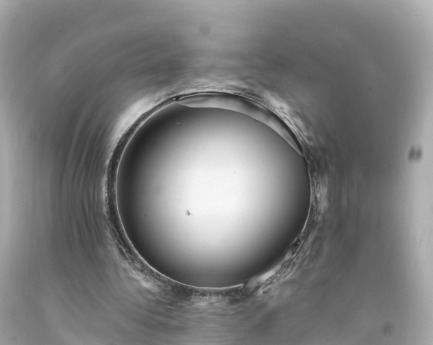 X0000094190340200711021033