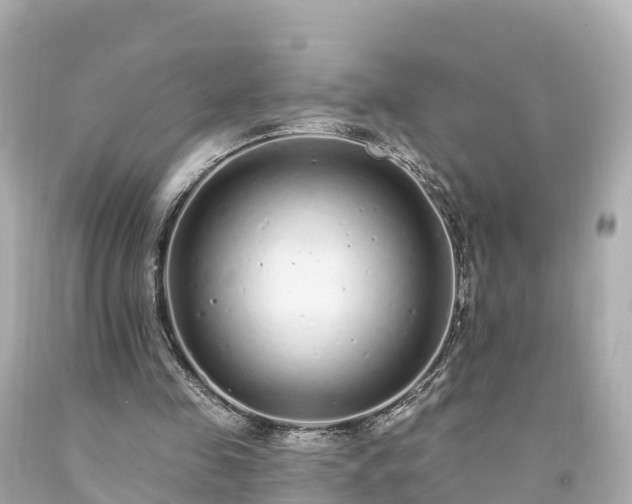 X0000094190341200711021033