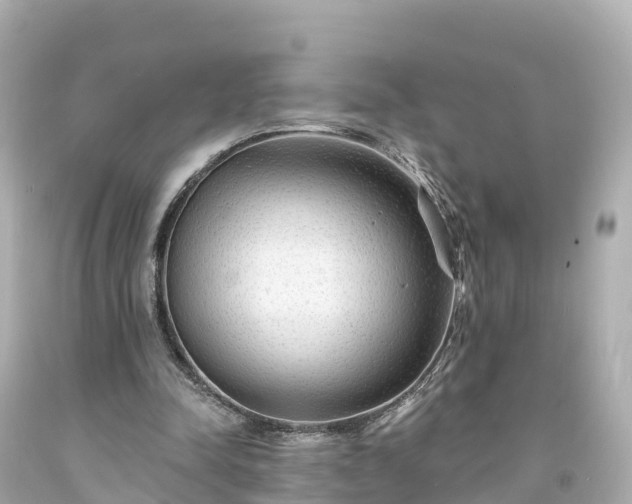 X0000094190342200711021033