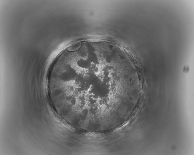 X0000094190343200711021033