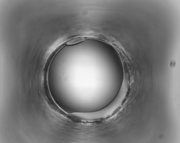 X0000094190344200711021033