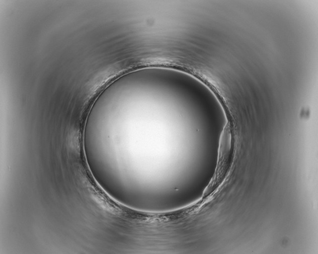 X0000094190345200711021033