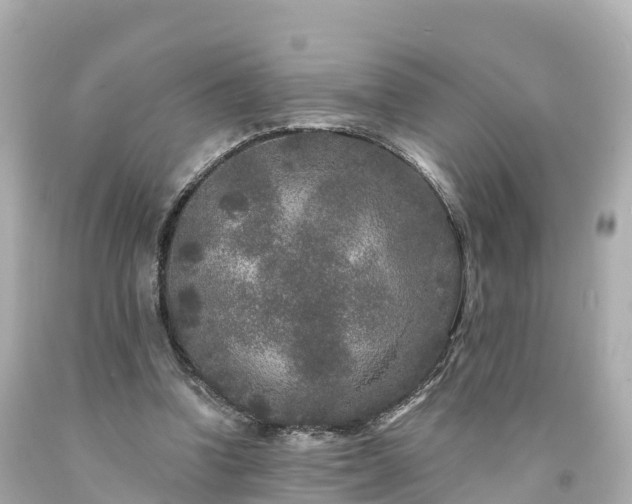 X0000094190346200711021033