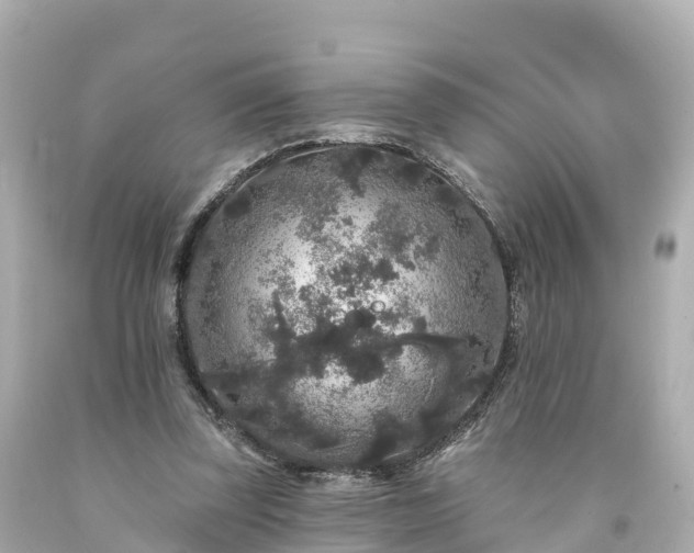 X0000094190347200711021033