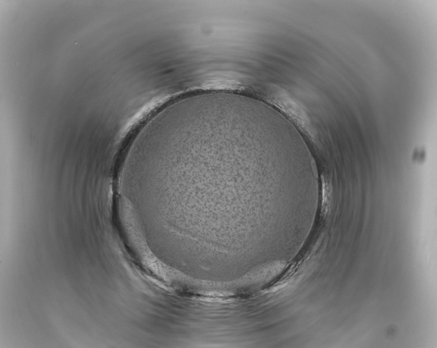 X0000094190348200711021033