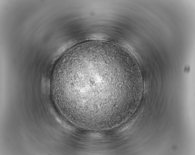 X0000094190349200711021033