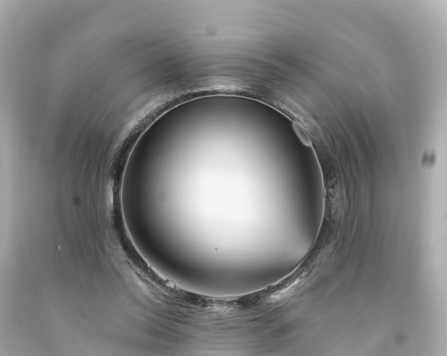 X0000094190350200711021033