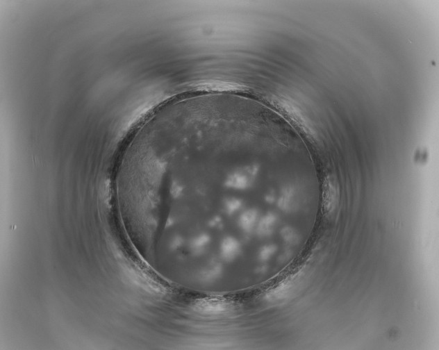 X0000094190351200711021033