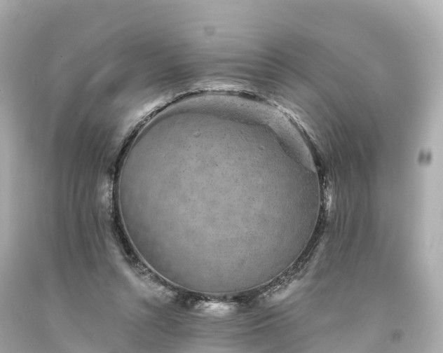 X0000094190352200711021033