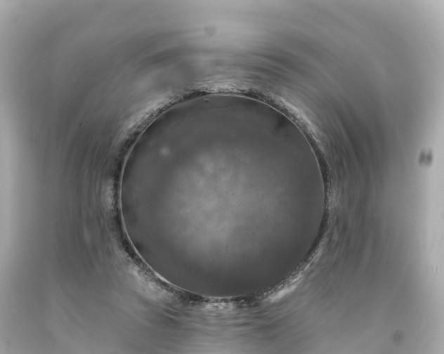 X0000094190353200711021033