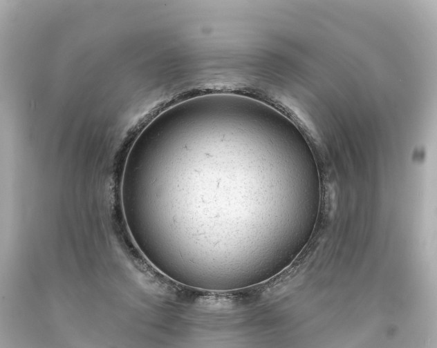 X0000094190354200711021033