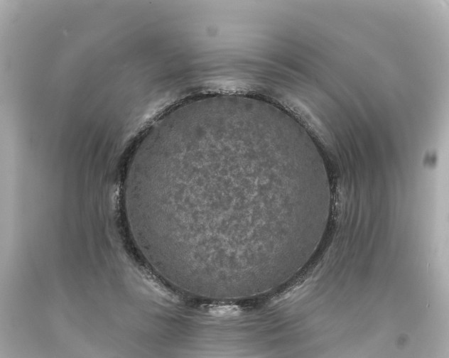 X0000094190355200711021033