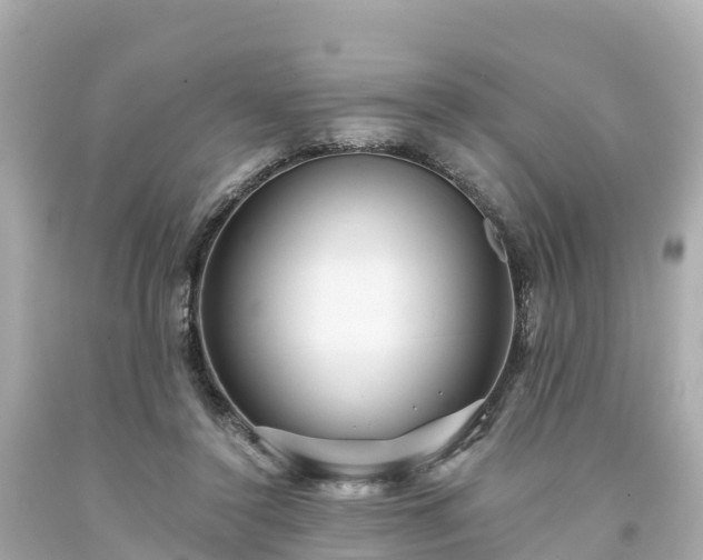 X0000094190356200711021033