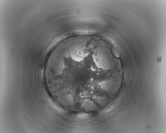 X0000094190357200711021033