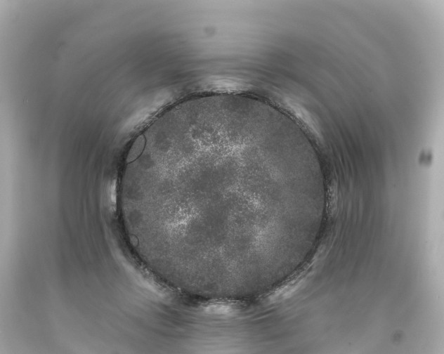 X0000094190358200711021033