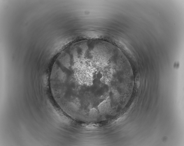 X0000094190359200711021033