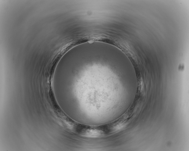 X0000094190360200711021033