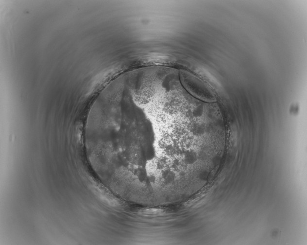 X0000094190361200711021034