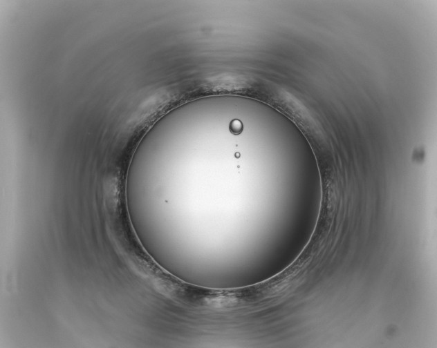 X0000094190362200711021034