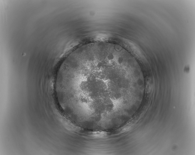 X0000094190363200711021034