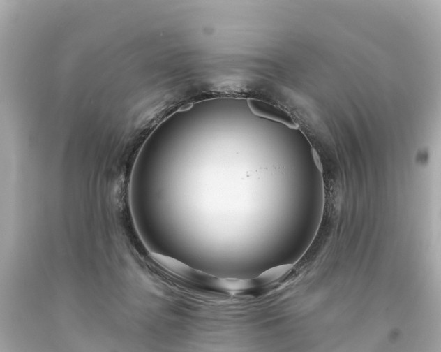 X0000094190364200711021034