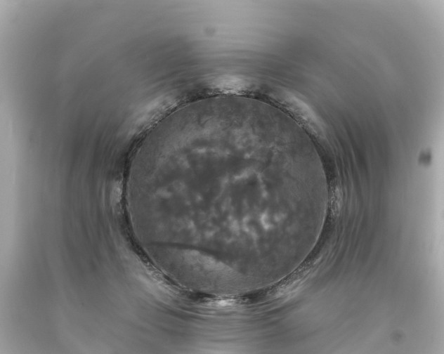 X0000094190365200711021034