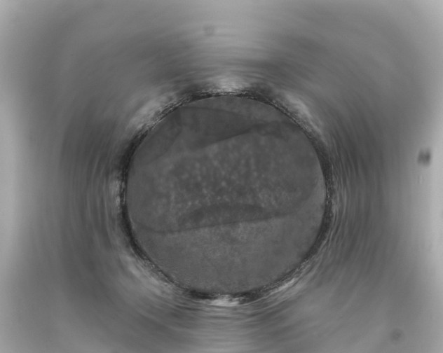 X0000094190366200711021034