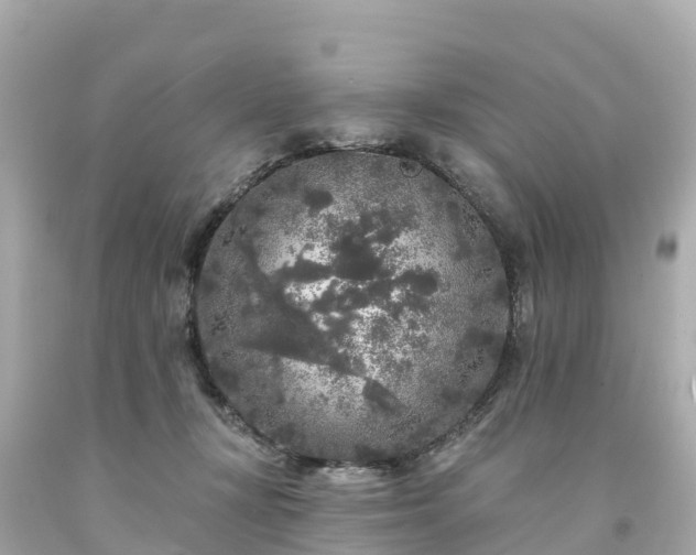 X0000094190367200711021034