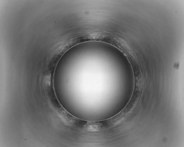 X0000094190368200711021034