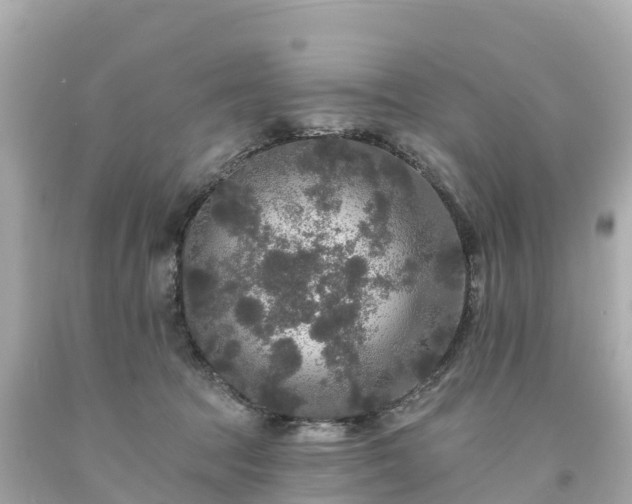 X0000094190369200711021034