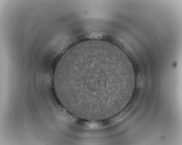 X0000094190370200711021034