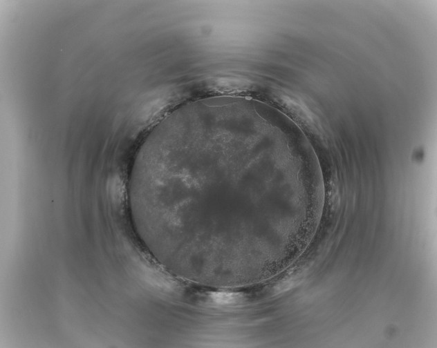 X0000094190371200711021034