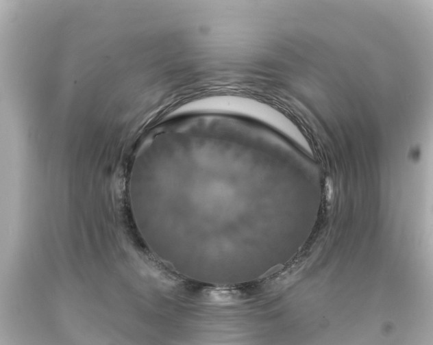 X0000094190372200711021034