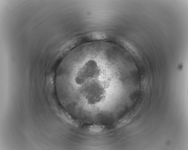 X0000094190373200711021034