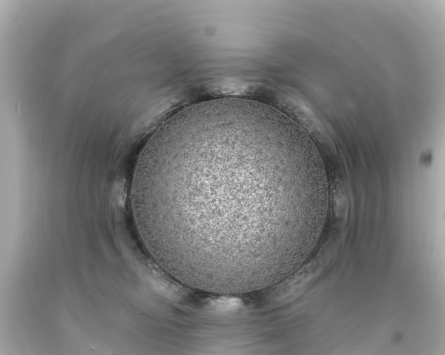 X0000094190374200711021034