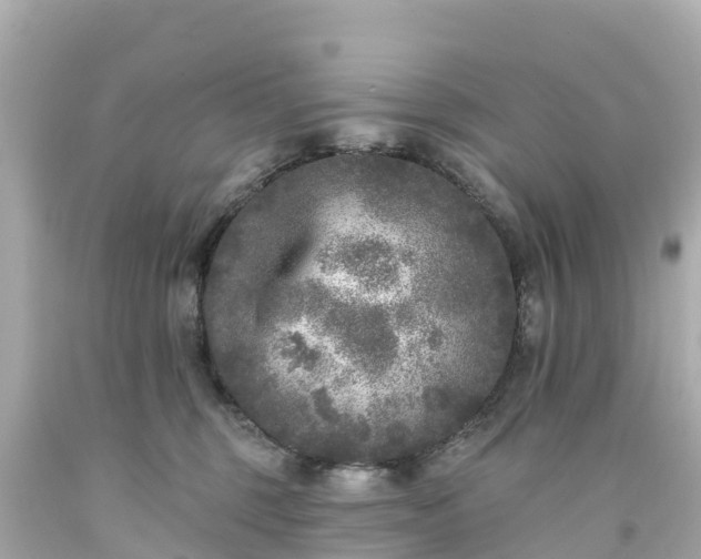 X0000094190375200711021034